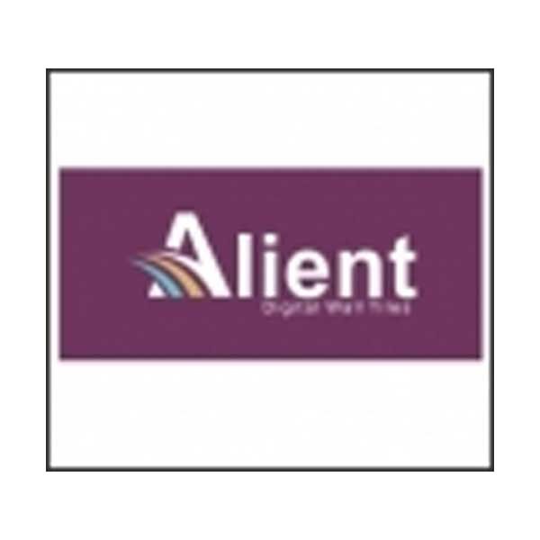 Alient Ceramic