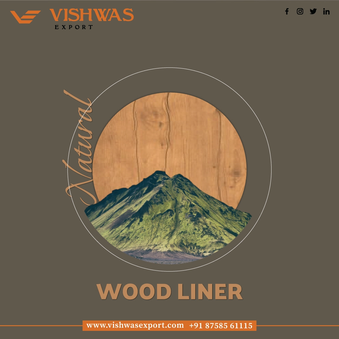 Vishwas Export