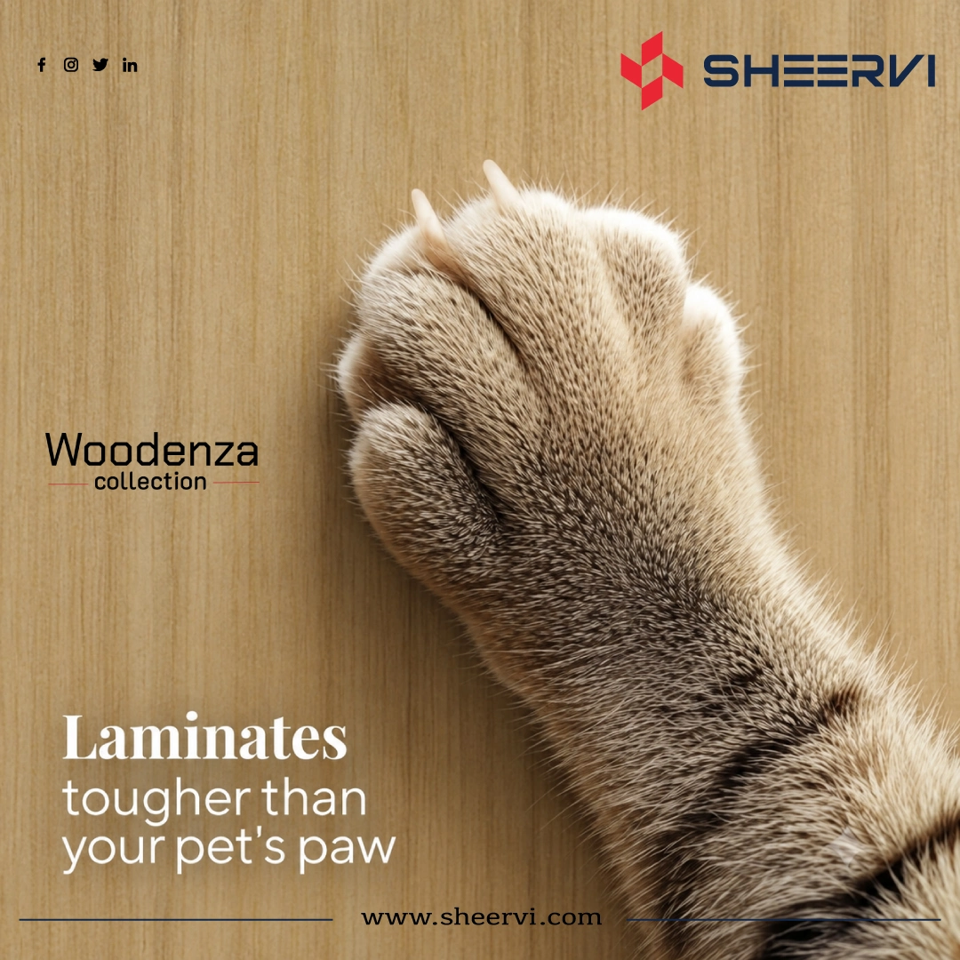 Laminate Product