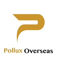 Pollux Overseas