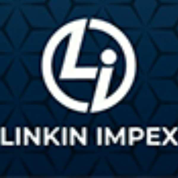 Linkin Impex logo